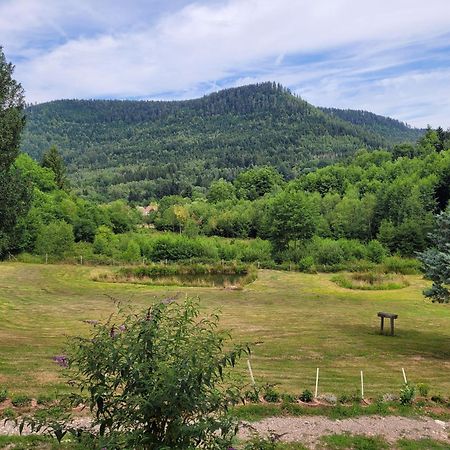 Gite Forestier Du Moulin Raon-sur-Plaine 외부 사진