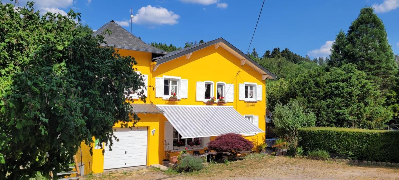 Gite Forestier Du Moulin Raon-sur-Plaine 외부 사진