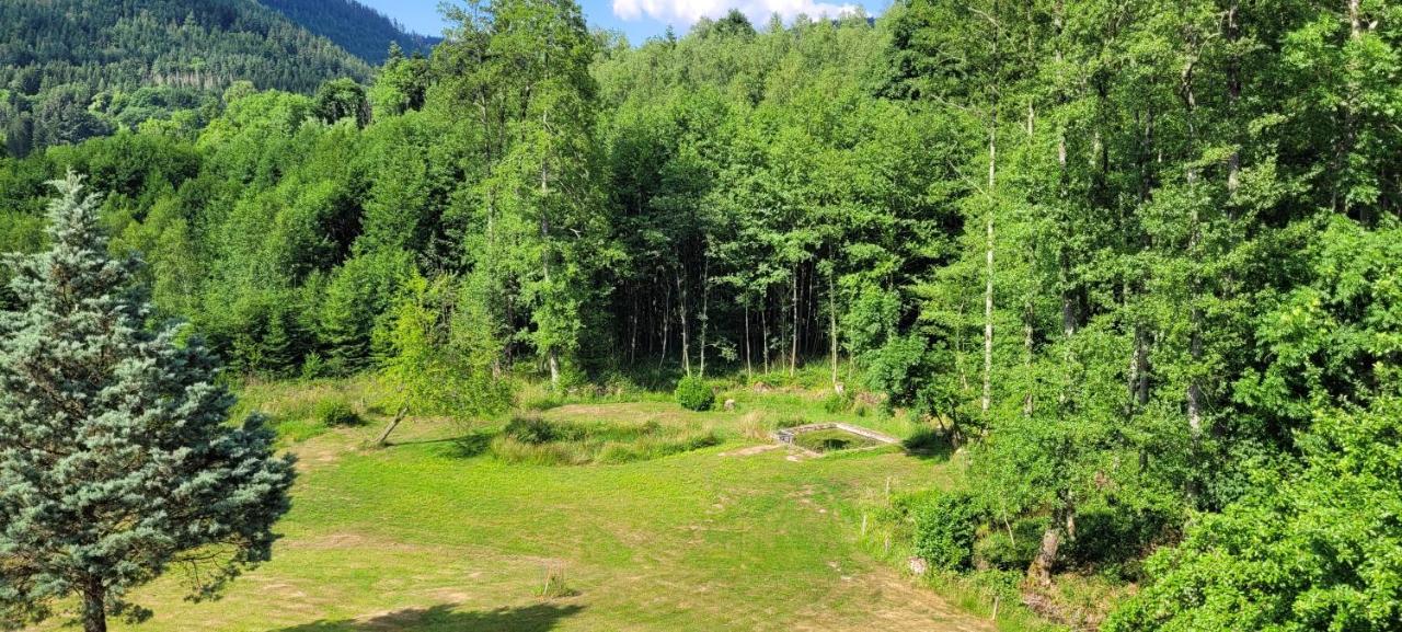 Gite Forestier Du Moulin Raon-sur-Plaine 외부 사진