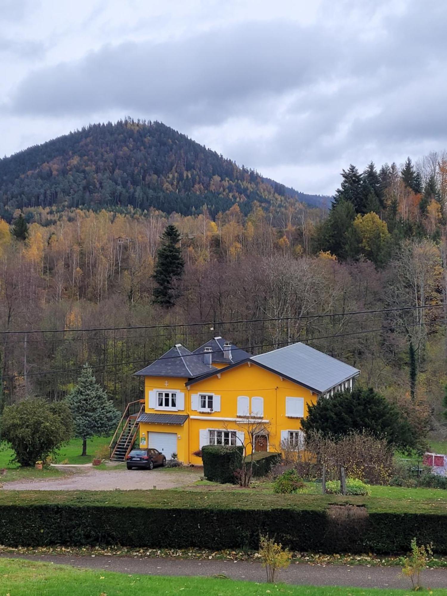 Gite Forestier Du Moulin Raon-sur-Plaine 외부 사진