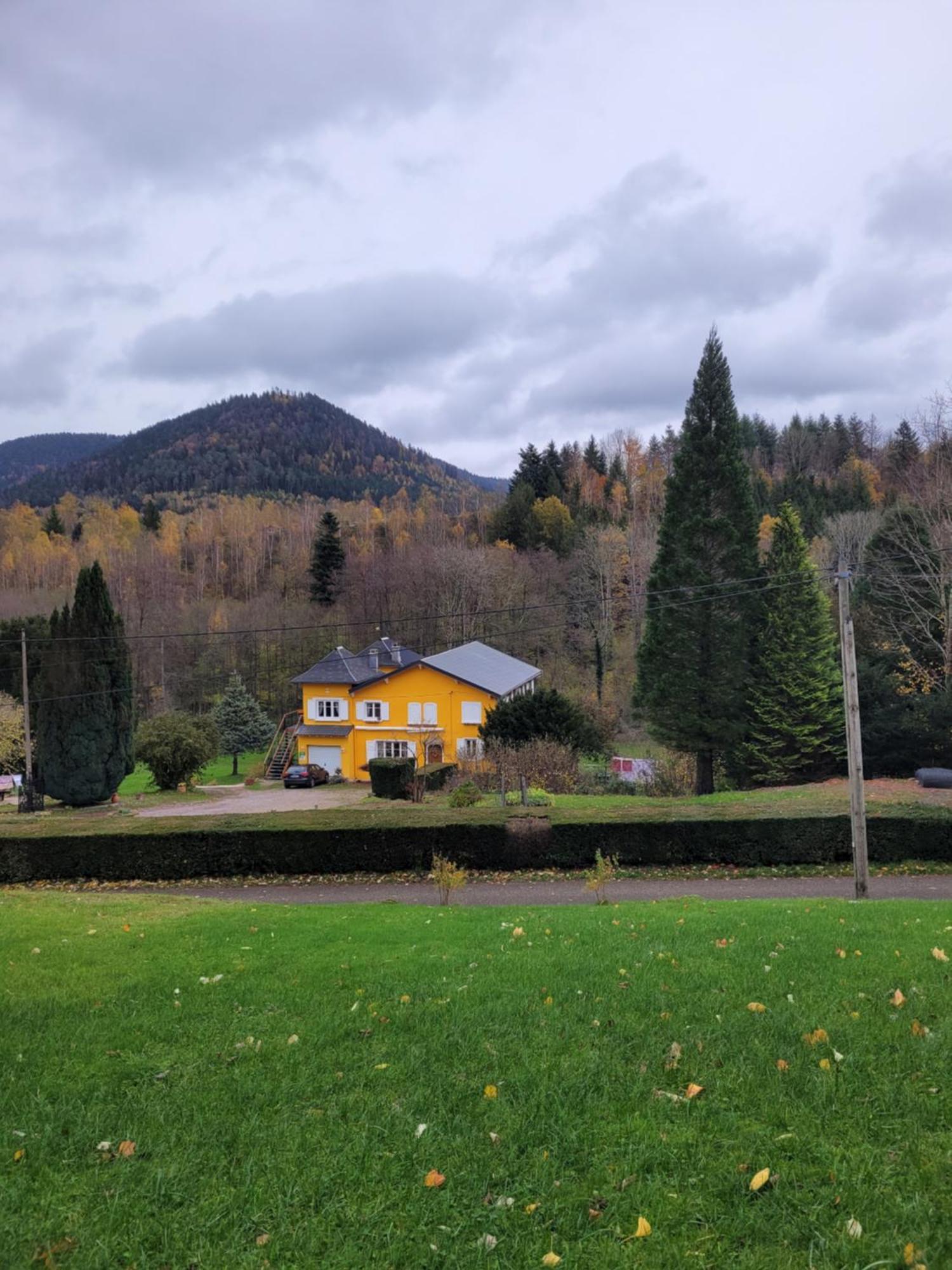 Gite Forestier Du Moulin Raon-sur-Plaine 외부 사진