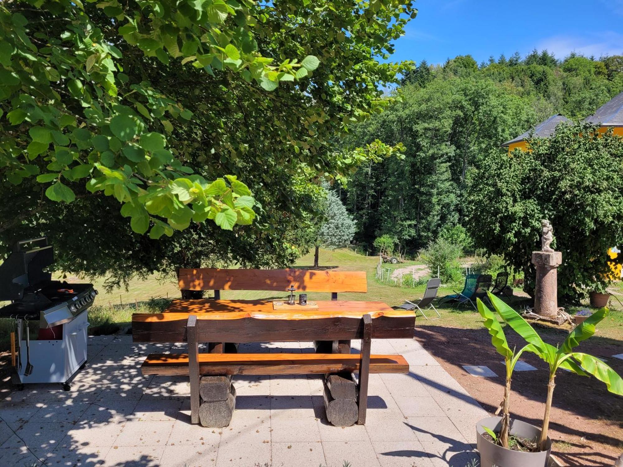 Gite Forestier Du Moulin Raon-sur-Plaine 외부 사진