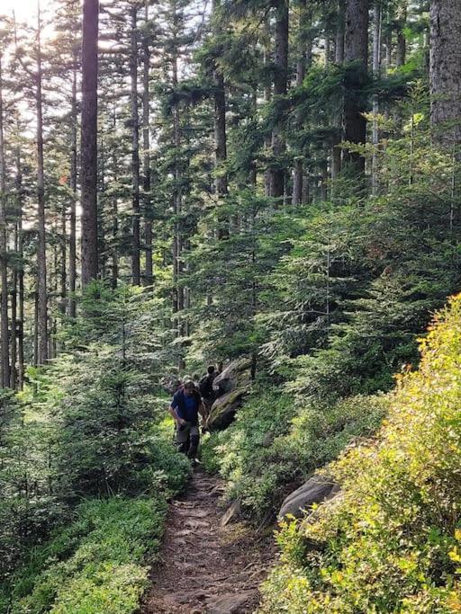 Gite Forestier Du Moulin Raon-sur-Plaine 외부 사진