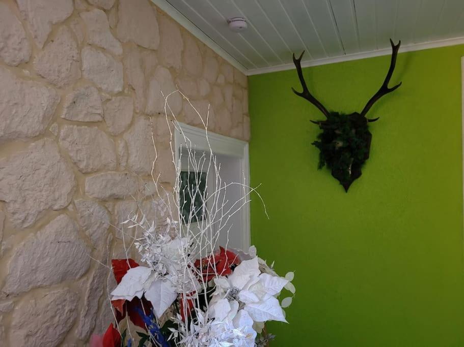 Gite Forestier Du Moulin Raon-sur-Plaine 외부 사진