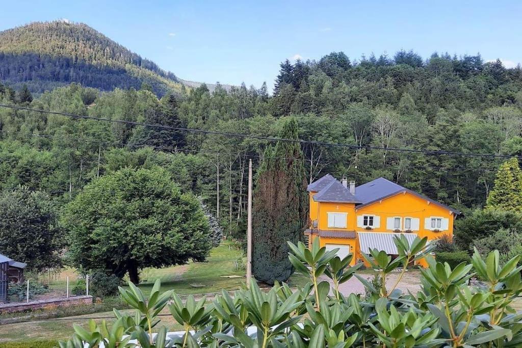 Gite Forestier Du Moulin Raon-sur-Plaine 외부 사진