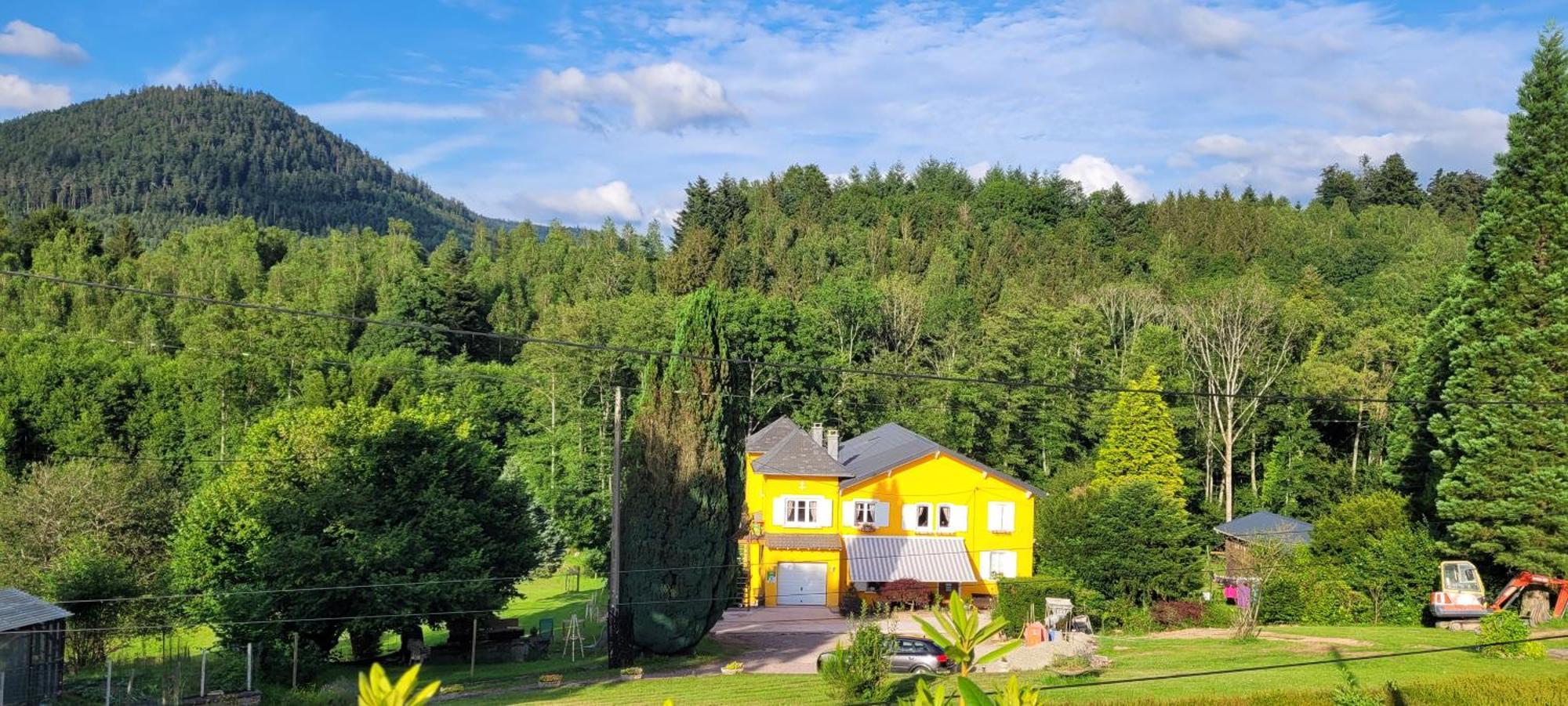 Gite Forestier Du Moulin Raon-sur-Plaine 외부 사진