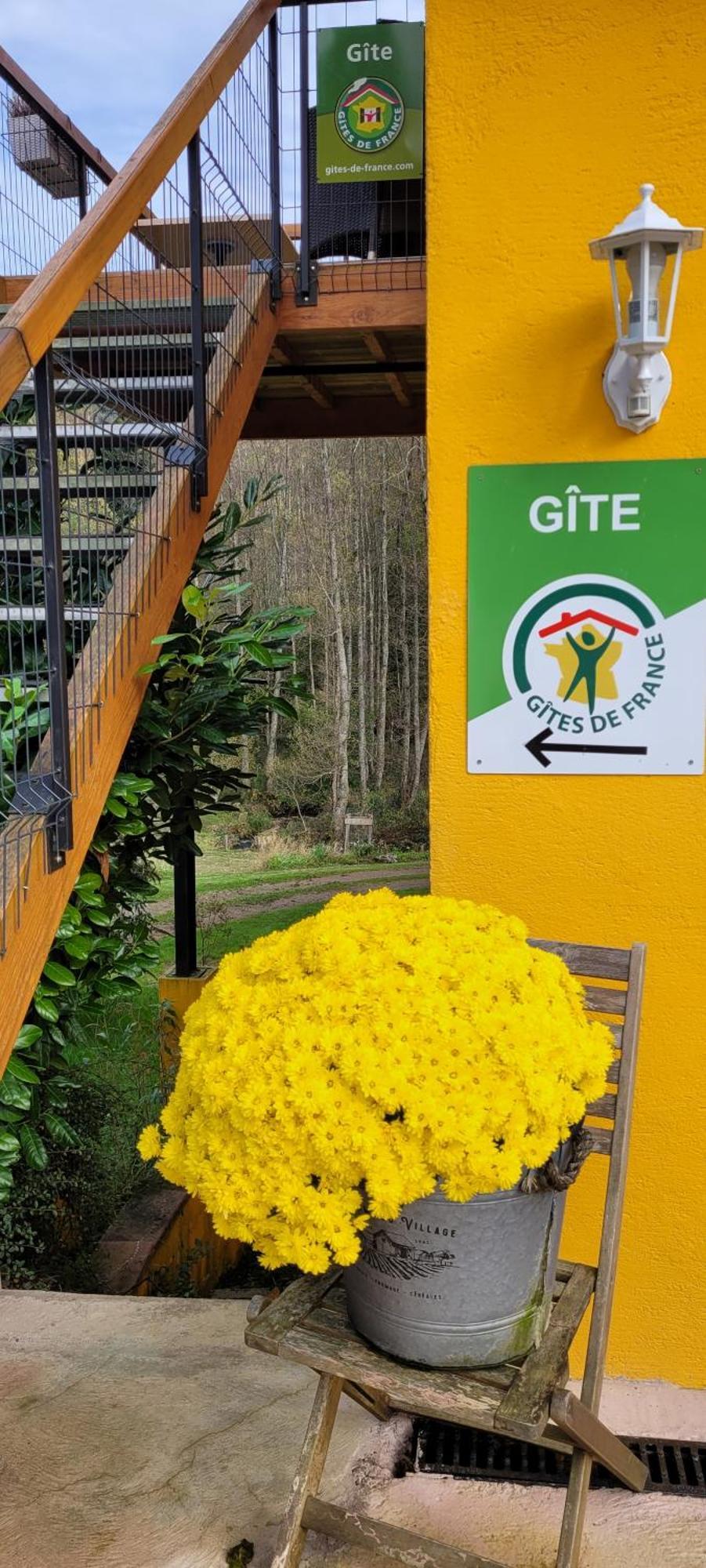 Gite Forestier Du Moulin Raon-sur-Plaine 외부 사진