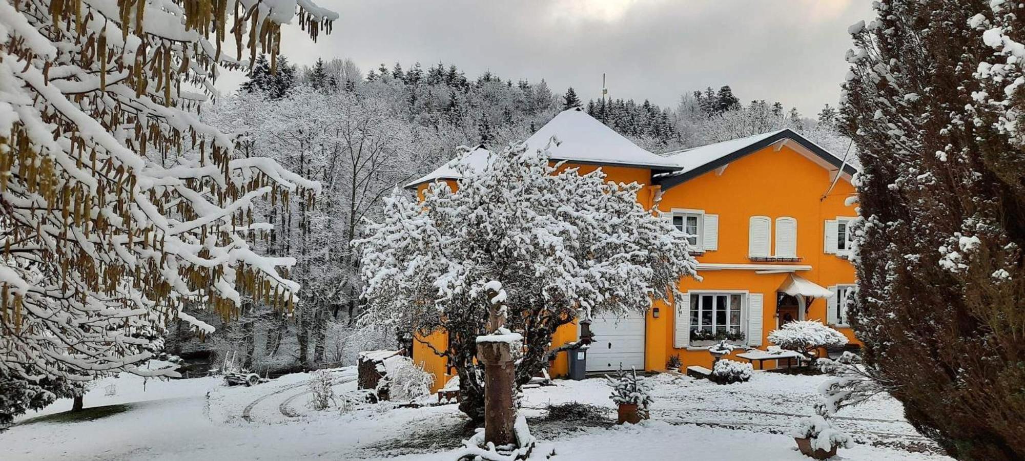 Gite Forestier Du Moulin Raon-sur-Plaine 외부 사진